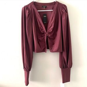 Nwt sheen spandex crop top